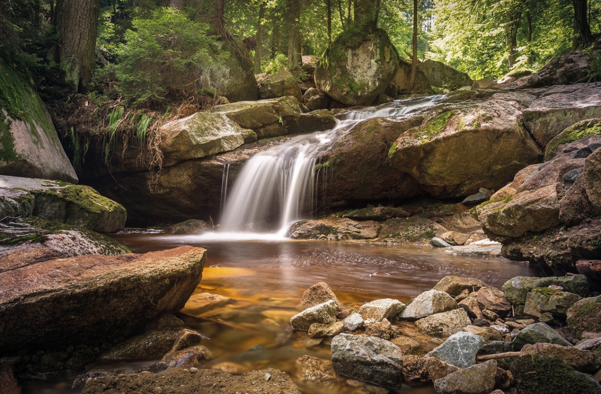 The vital springs of Przerzeczyn-Zdrój