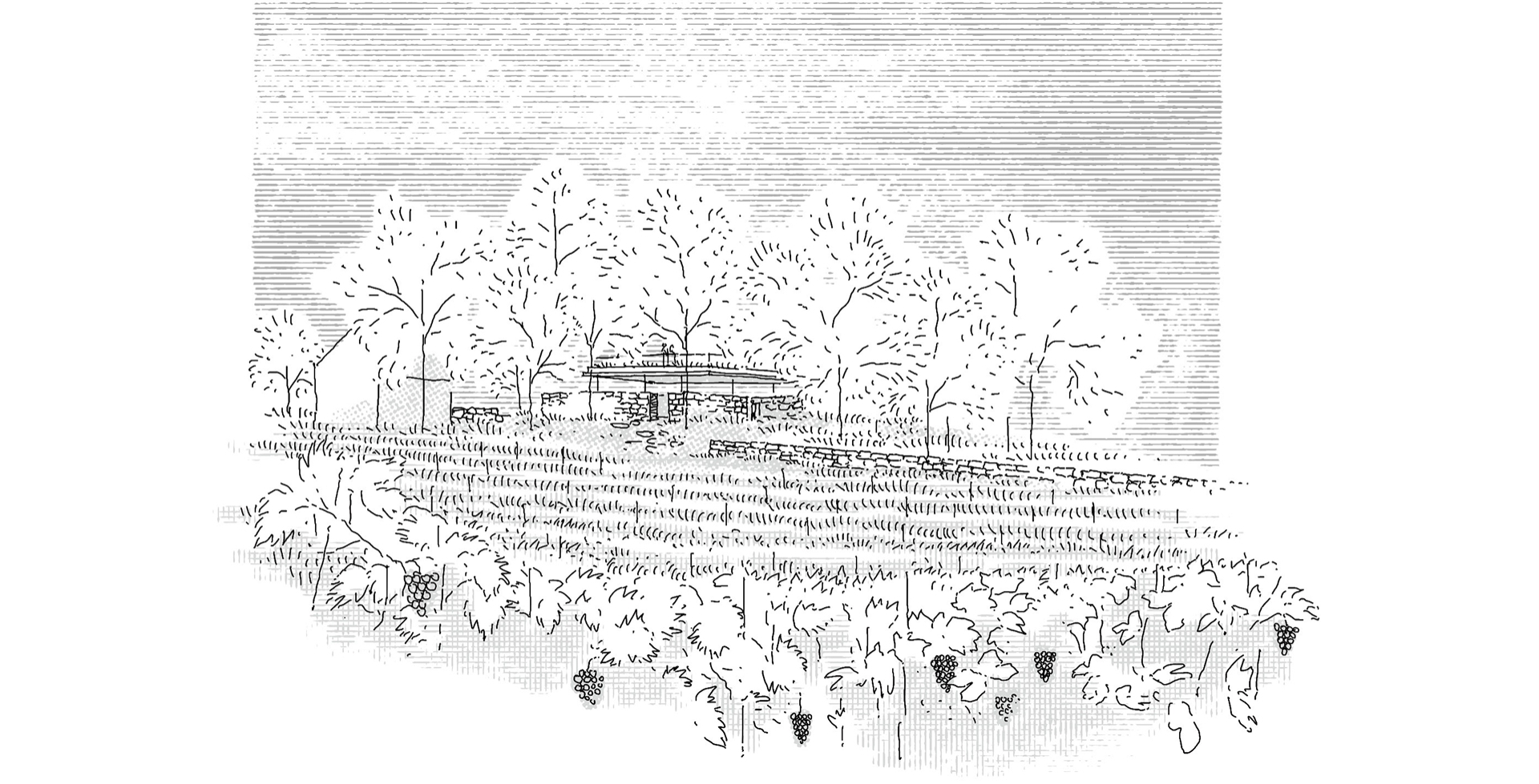 SPA & Leisure & Sport facilities