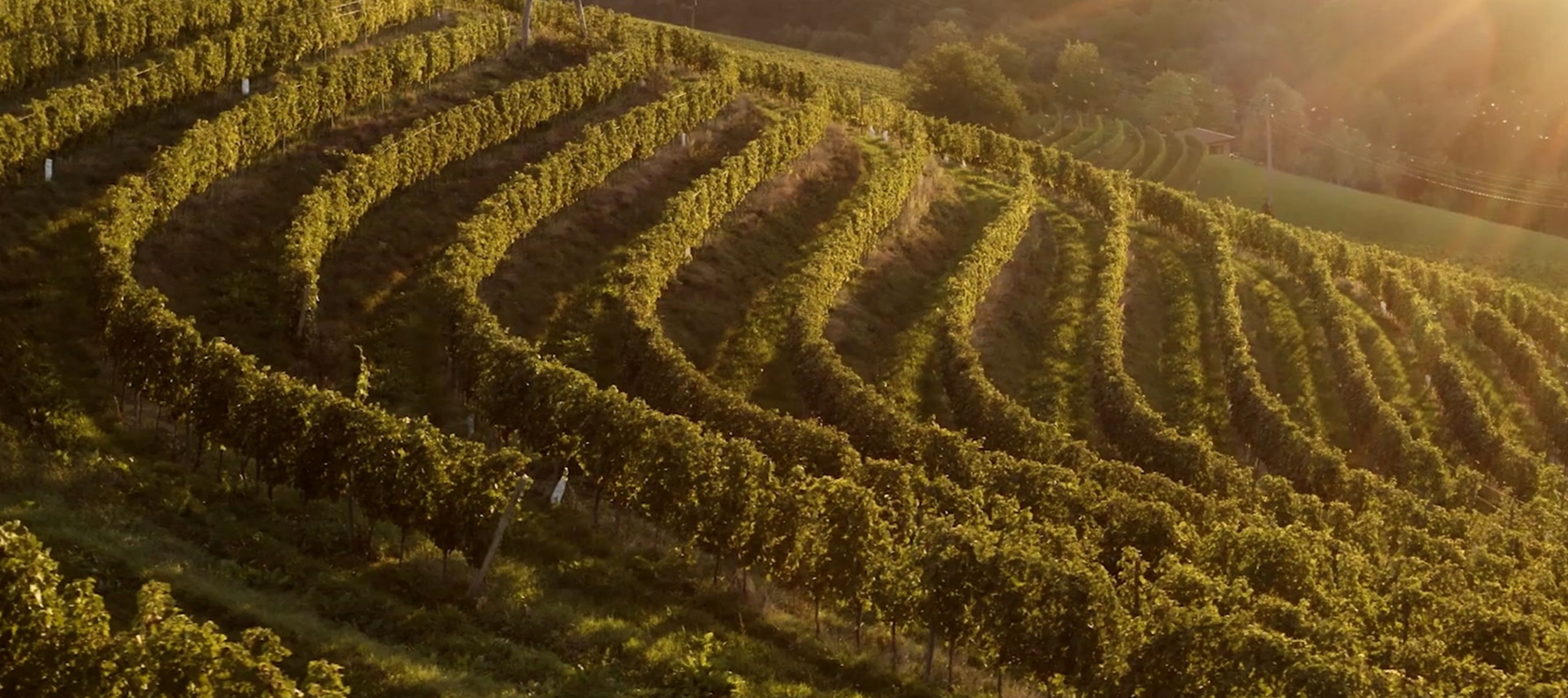 slider A SPA resort raising the bar for quality and building a future for you.